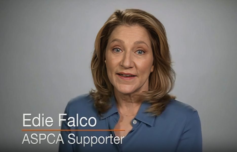 ASPCA Commercial Actress Name: Meet Edie Falco (2025)