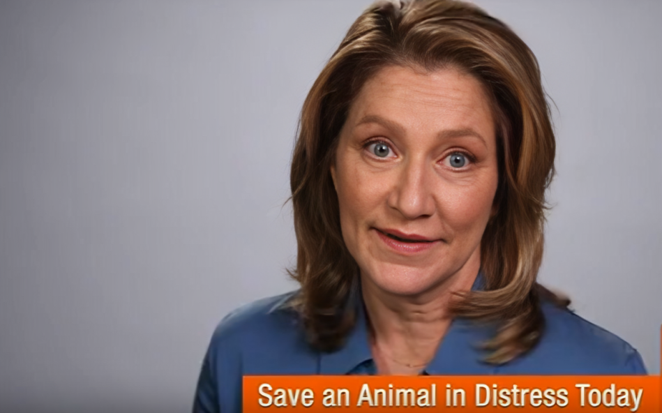 Why ASPCA Campaigns Are So Popular in 2025?